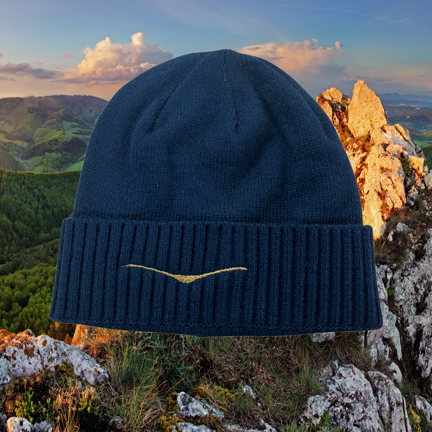 SLV III Beanie