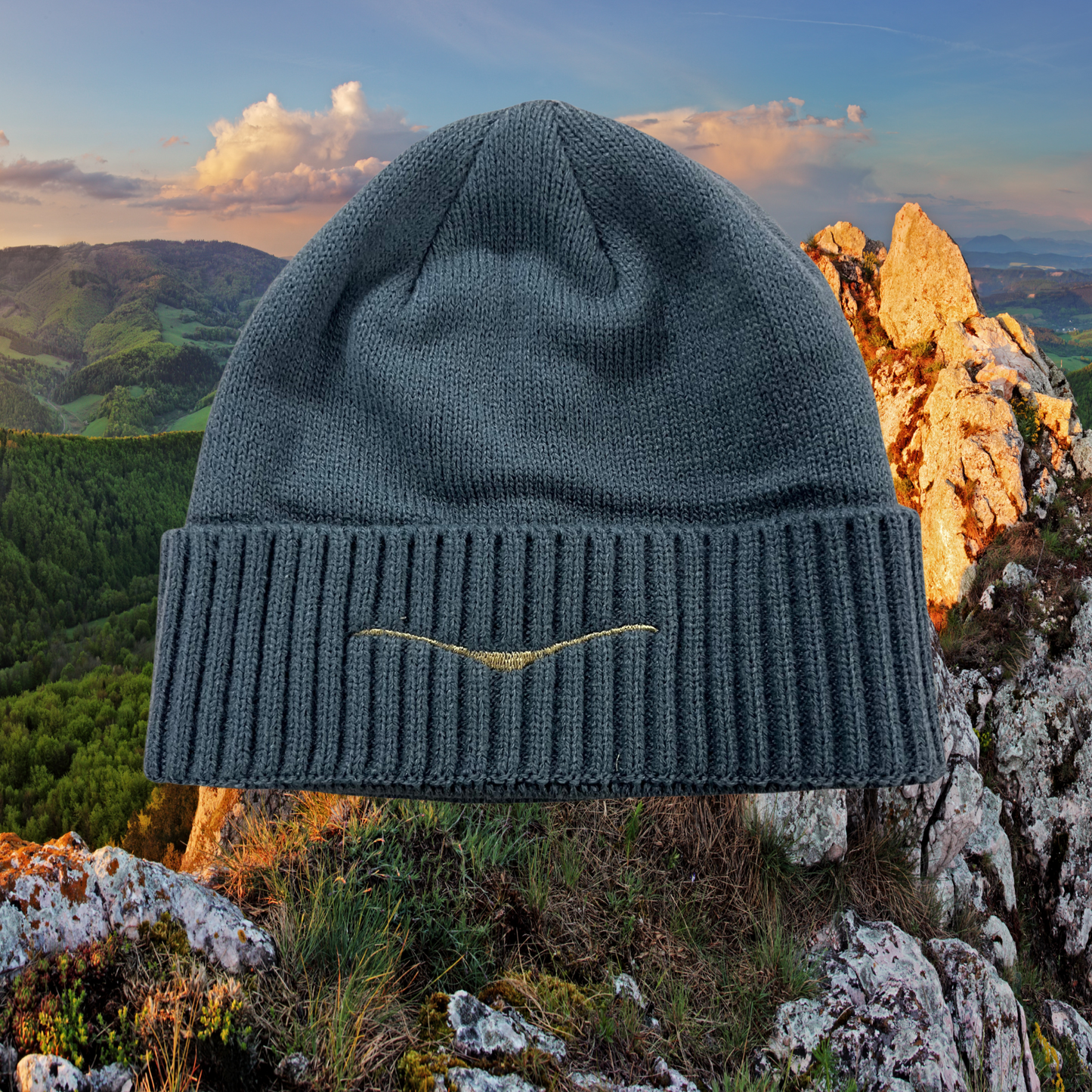 SLV III Beanie