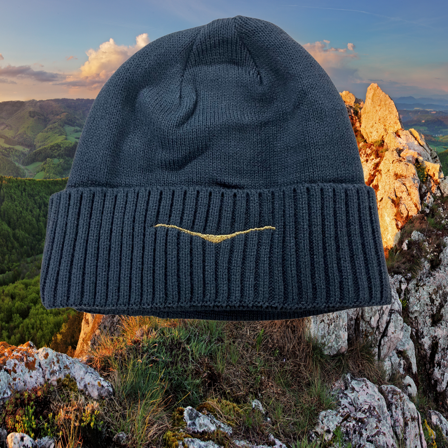SLV III Beanie